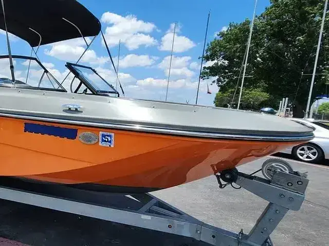 Bayliner Element E21