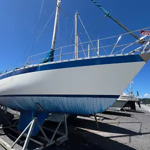 1978 Dolphin 31