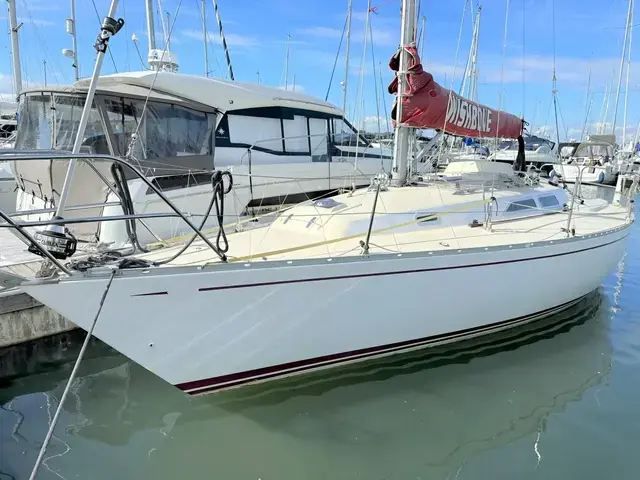 Contessa 33