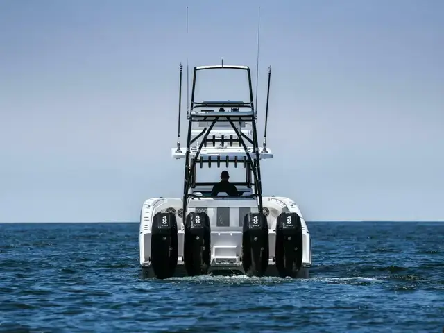 Invincible Boats Catamaran