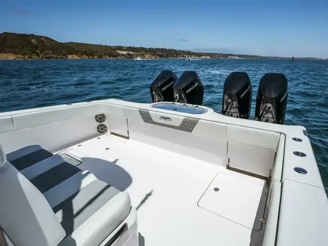 Invincible Boats Catamaran