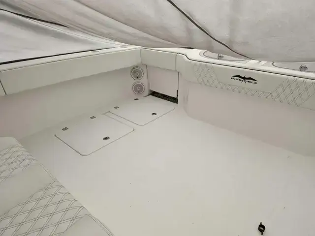 Invincible Boats 40 Catamaran