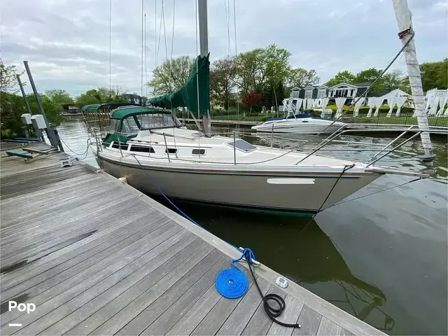 Catalina 30