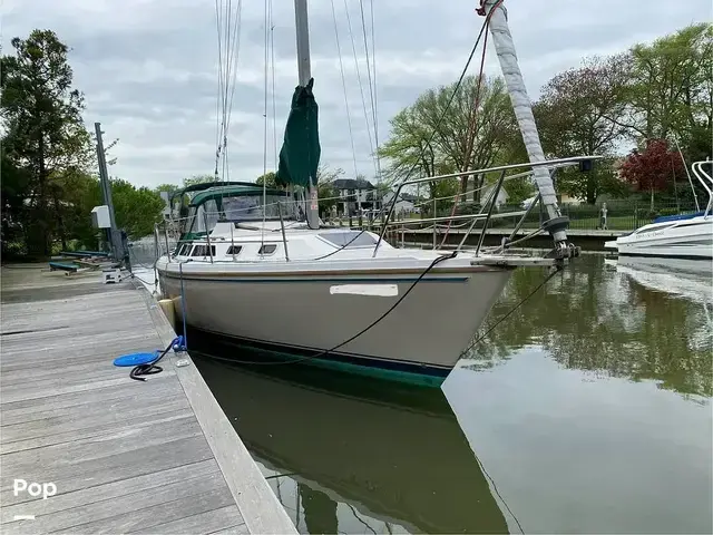 Catalina 30