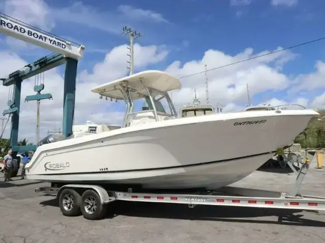 Robalo R260 Center Console