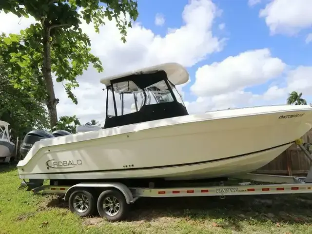 Robalo R260 Center Console