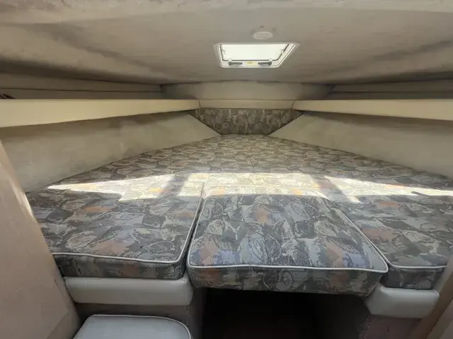 Bayliner 2858 Ciera Flybridge