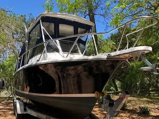 Shamrock Warrior 220