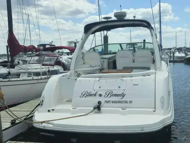 Sea Ray 340