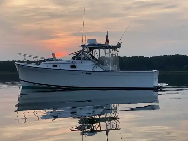 Luhrs Alura 30