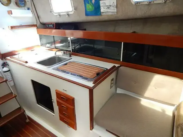 Luhrs Alura 30