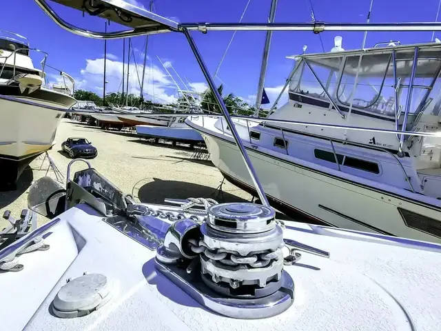 Carver 504 Cockpit Motor Yacht