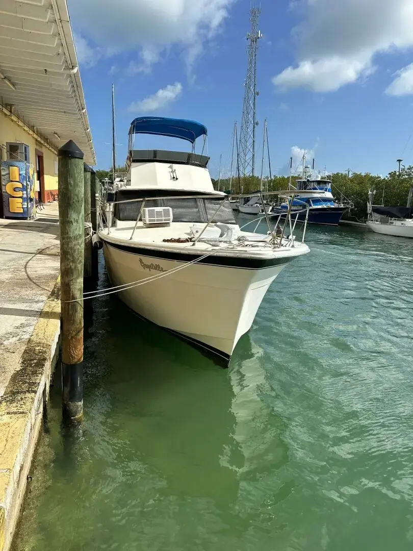 1968 Hatteras 45c