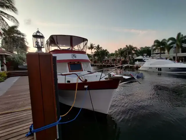 Trader Long Range Cruiser