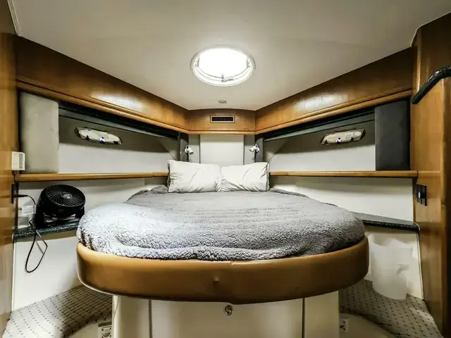 Carver 504 Cockpit Motor Yacht