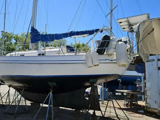 Bayfield 32