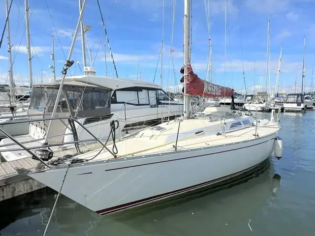 Contessa 33