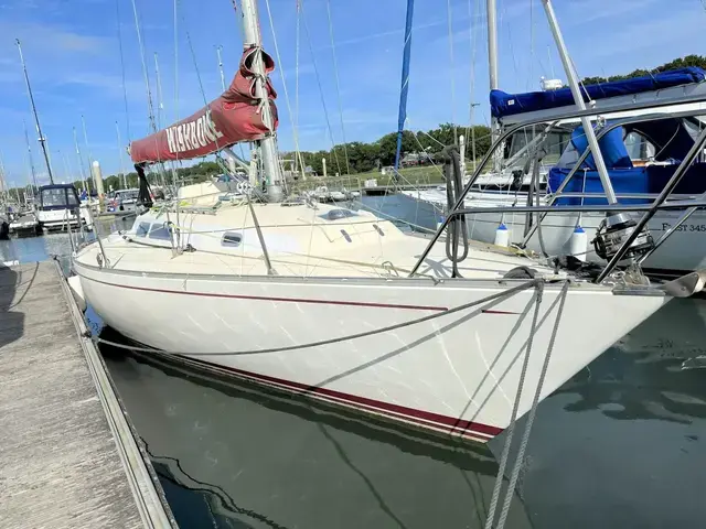 Contessa 33