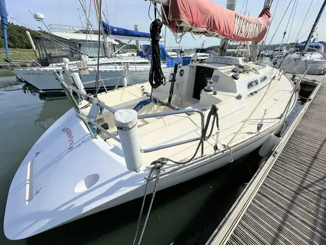 Contessa 33