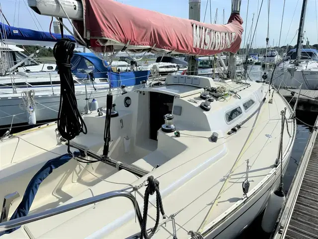 Contessa 33