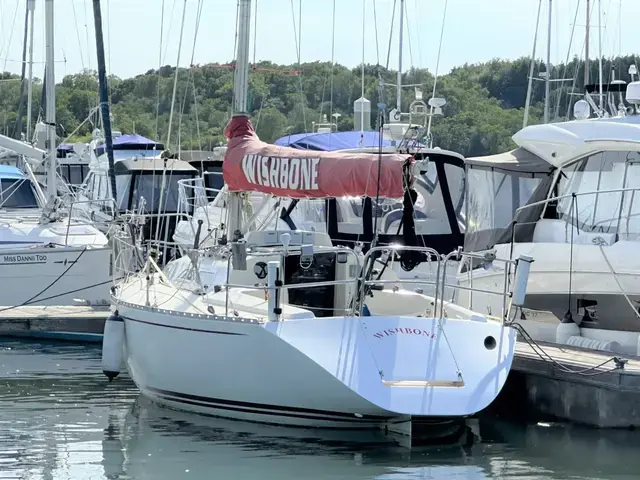 Contessa 33