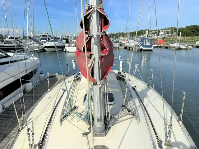 Contessa 33