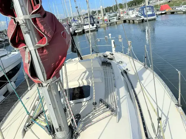 Contessa 33