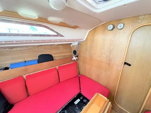 Contessa 33