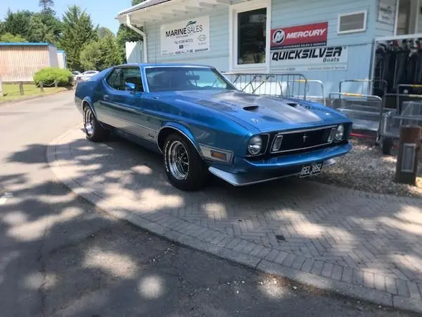 1973 Mustang mach 1