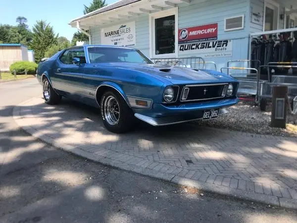 1973 Mustang mach 1