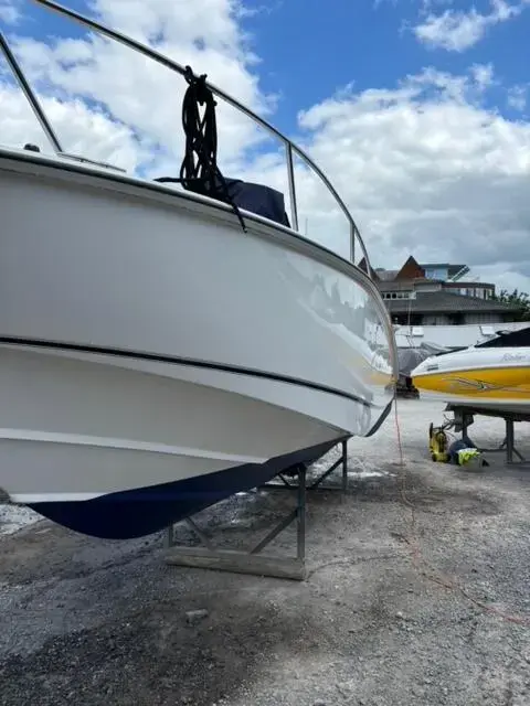 2006 Boston Whaler 240 outrage