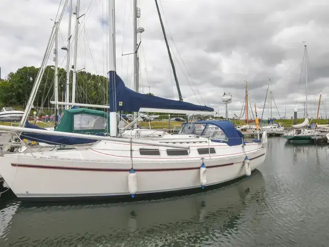 Freedom 33