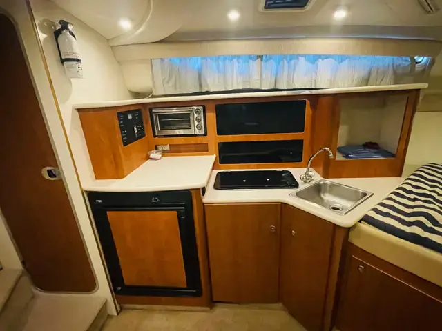 Bayliner 305 Cruiser