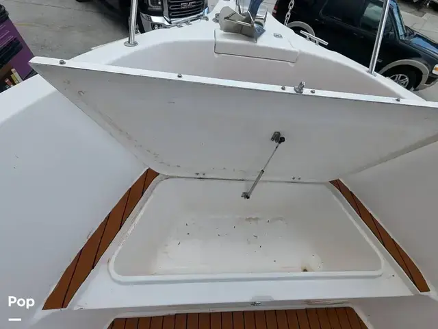 Robalo R230 center console