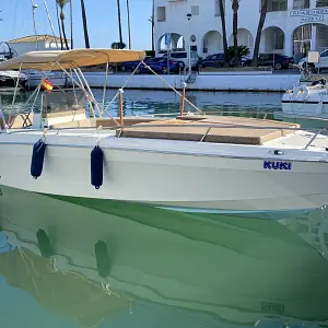 1979 Wellcraft Scarab 302 Sport