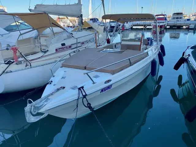 Wellcraft Scarab 302 Sport