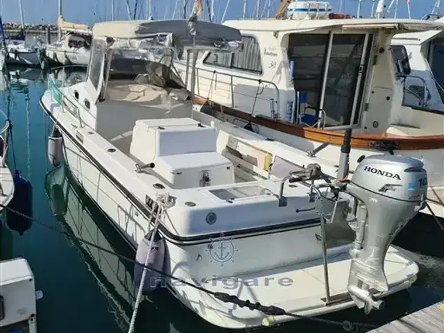 Royal Yacht Group Harpoon 255 Walkaround