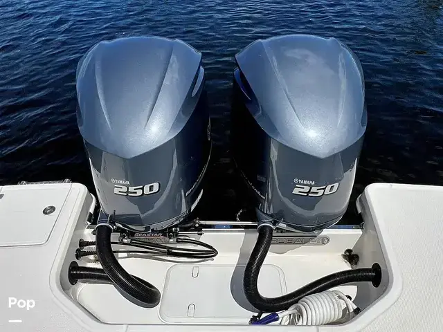 Robalo r272