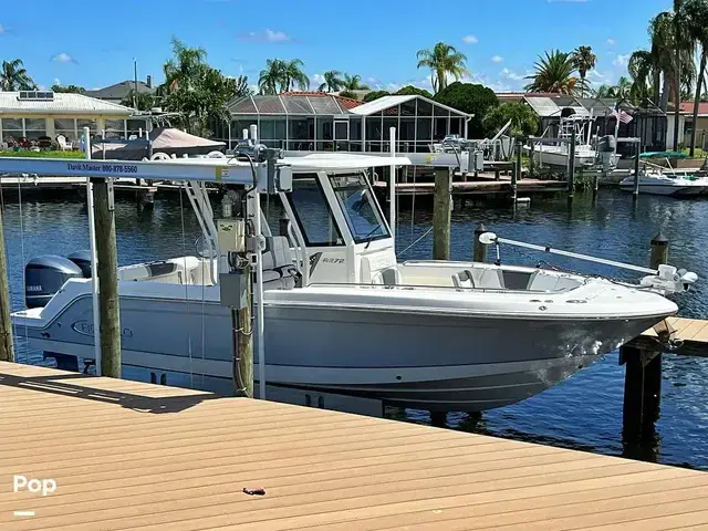 Robalo r272