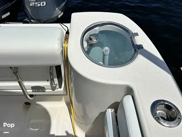 Robalo r272