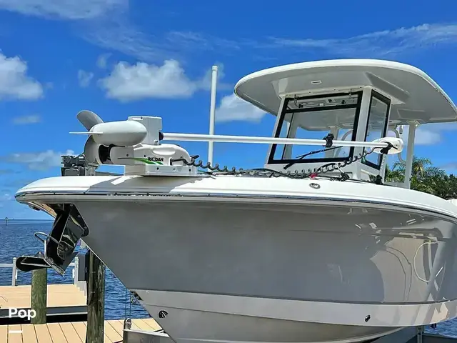 Robalo r272