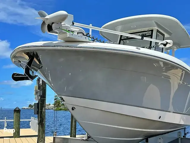 Robalo r272