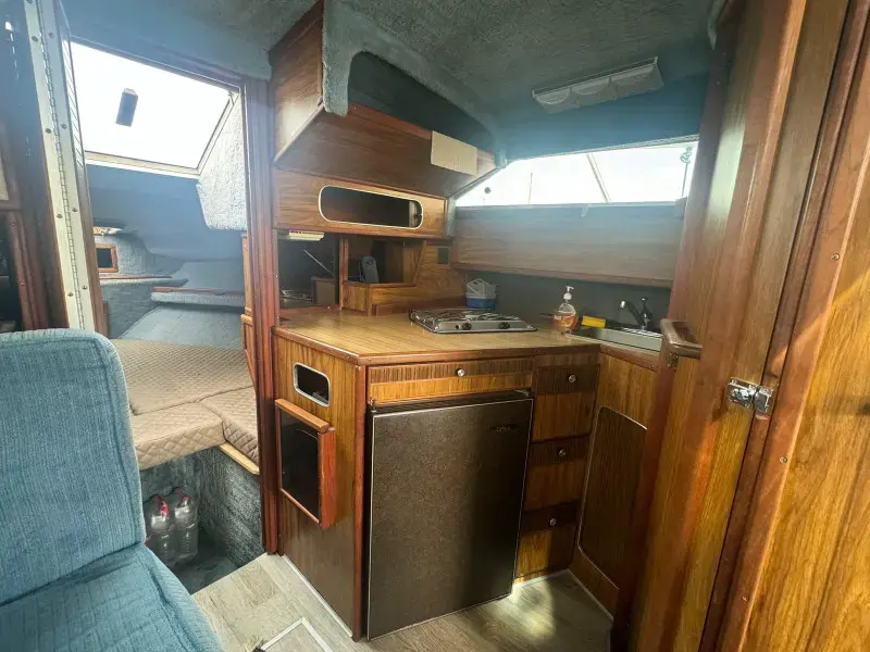 1980 Sea Ray 300 express cruiser