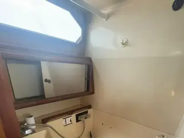 Sea Ray 300 Express Cruiser