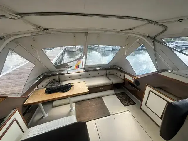 Sea Ray 300 Express Cruiser