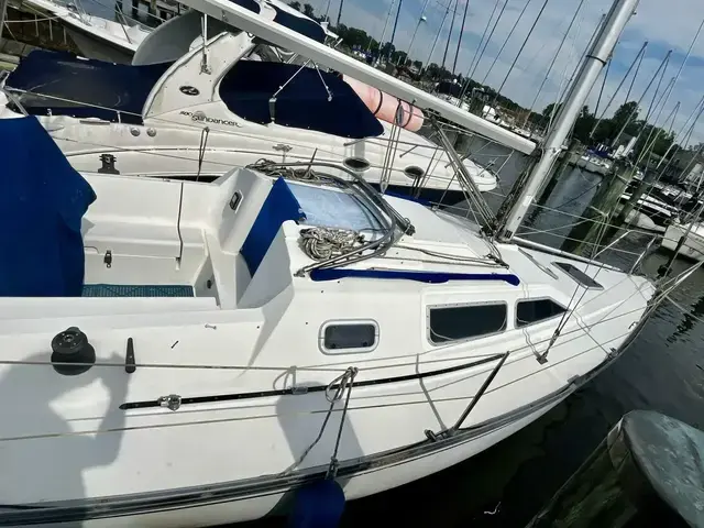 Mirage 29