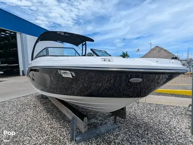 Sea Ray SPX 230