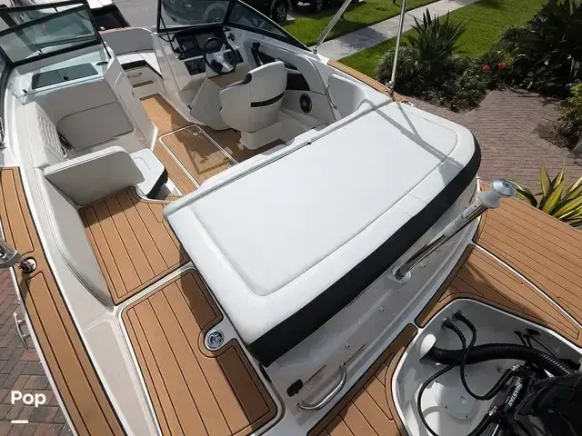 Sea Ray 190 SPX