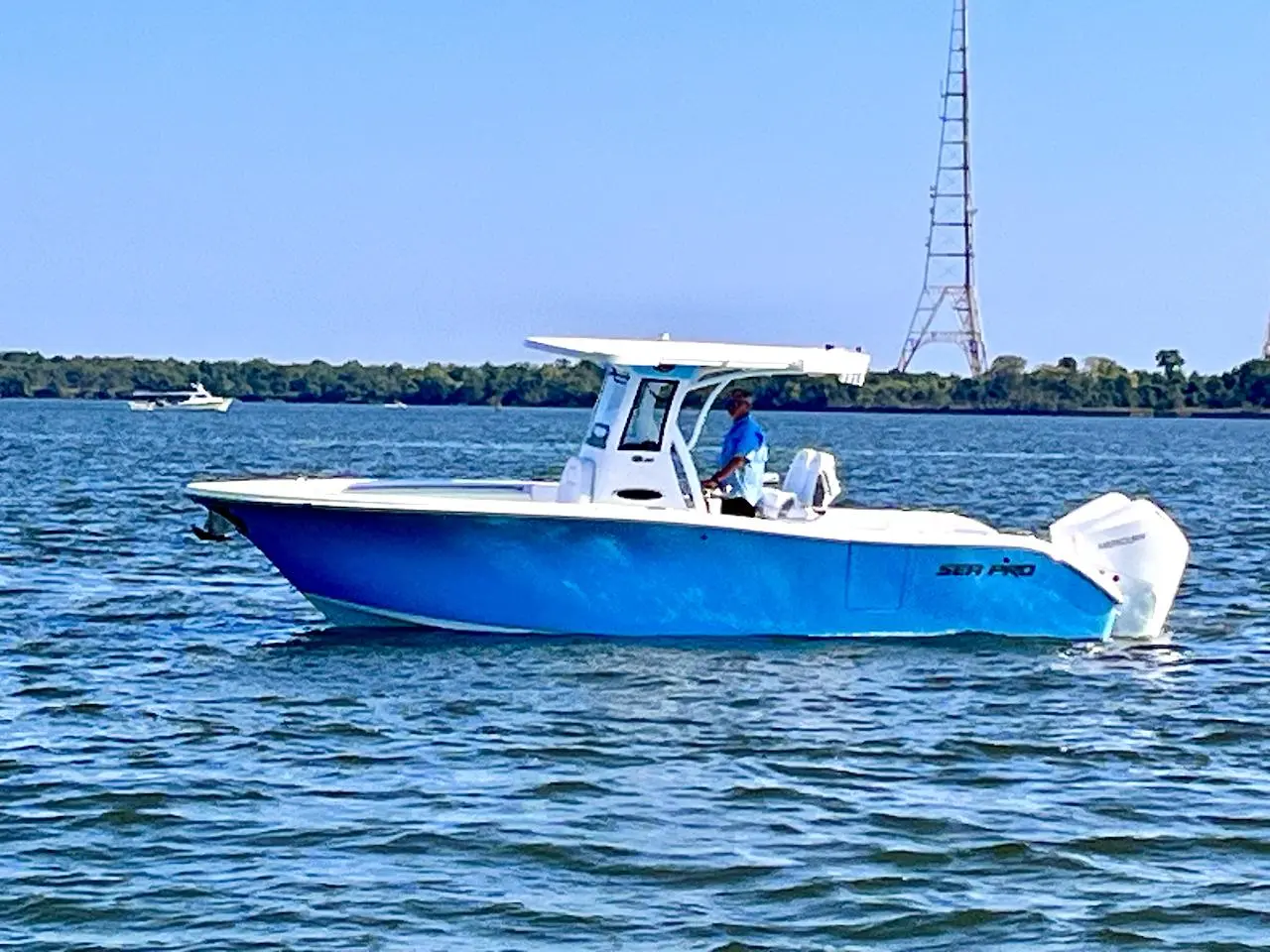 2024 Sea Pro 262