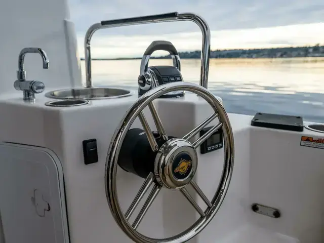 Ranger Tugs R 31 Cb